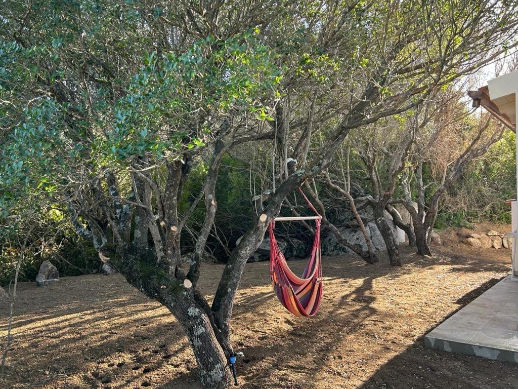 La Piana Holiday House Bassacutena Exterior photo