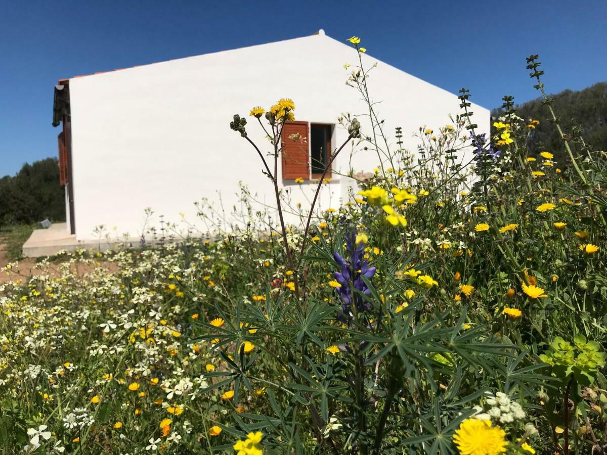 La Piana Holiday House Bassacutena Exterior photo